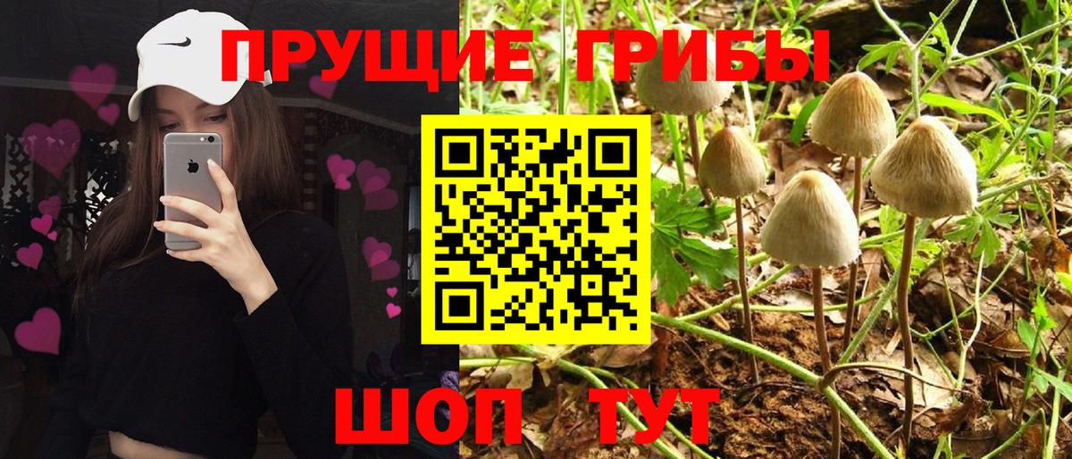 Псилоцибиновые грибы мухоморы Ижевск