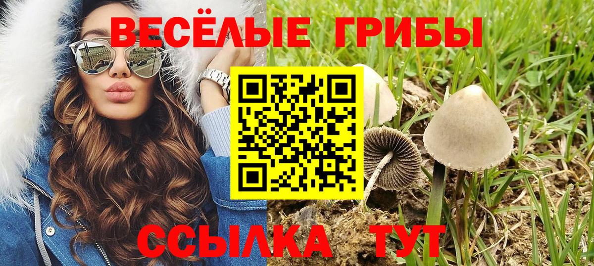 Ижевск  где можно купить наркотик  Вход с VPN  Галлюциногенные грибы Magic Shrooms 