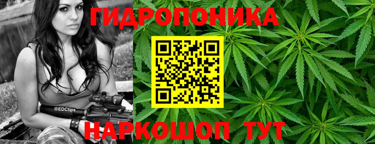Ижевск  Марихуана OG Kush  Канабис AK-47  Вход с VPN 